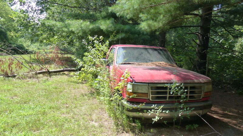 Illustration for article titled A Michigan Town Is Forcing This Man To Sell 20 Old Cars Off His Property Every Month
